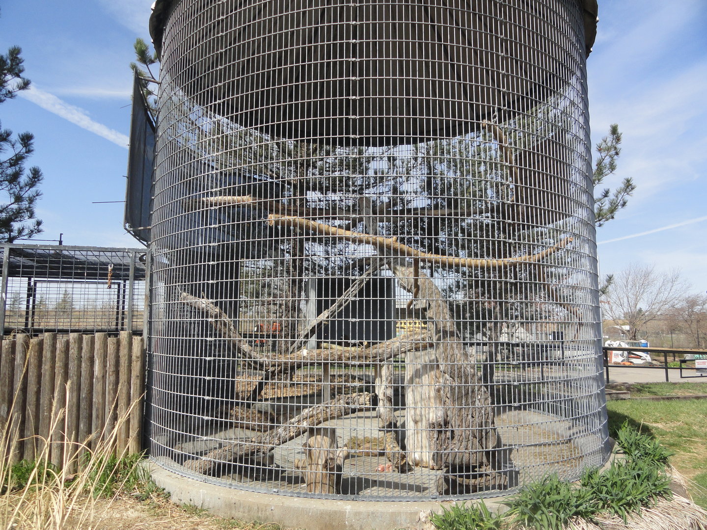 Golden Eagle Exhibit