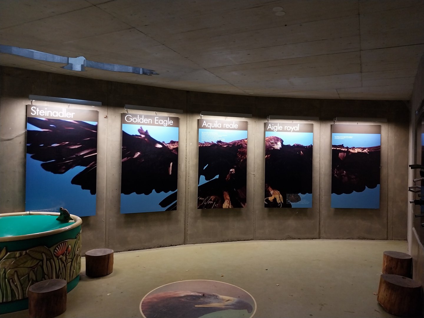 Golden eagle information center