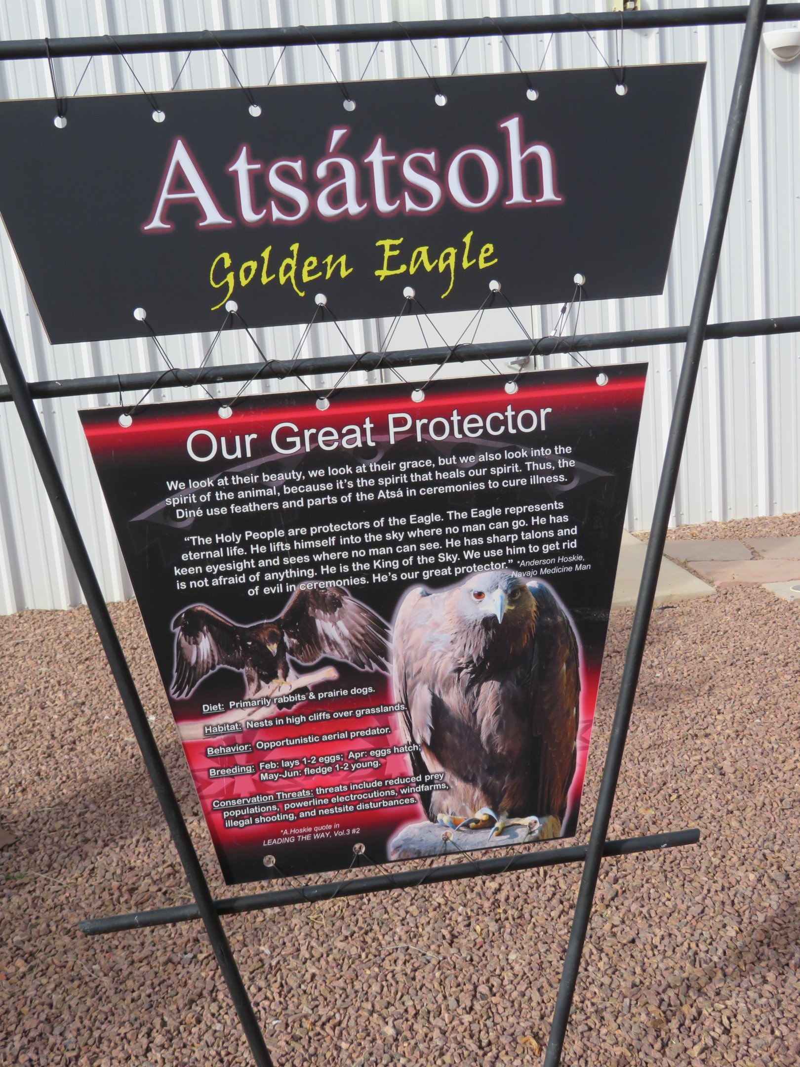 Golden Eagle Signage