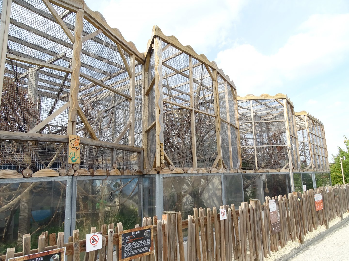 Golden-handed tamarins and white-tufted marmoset exhibit