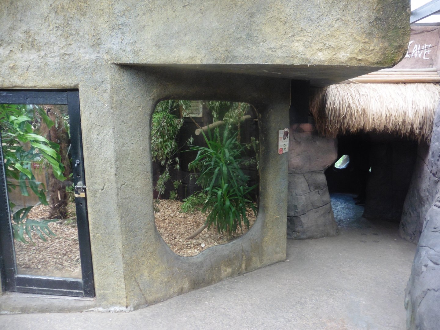 .Golden-head Lion Tamarin enclosure