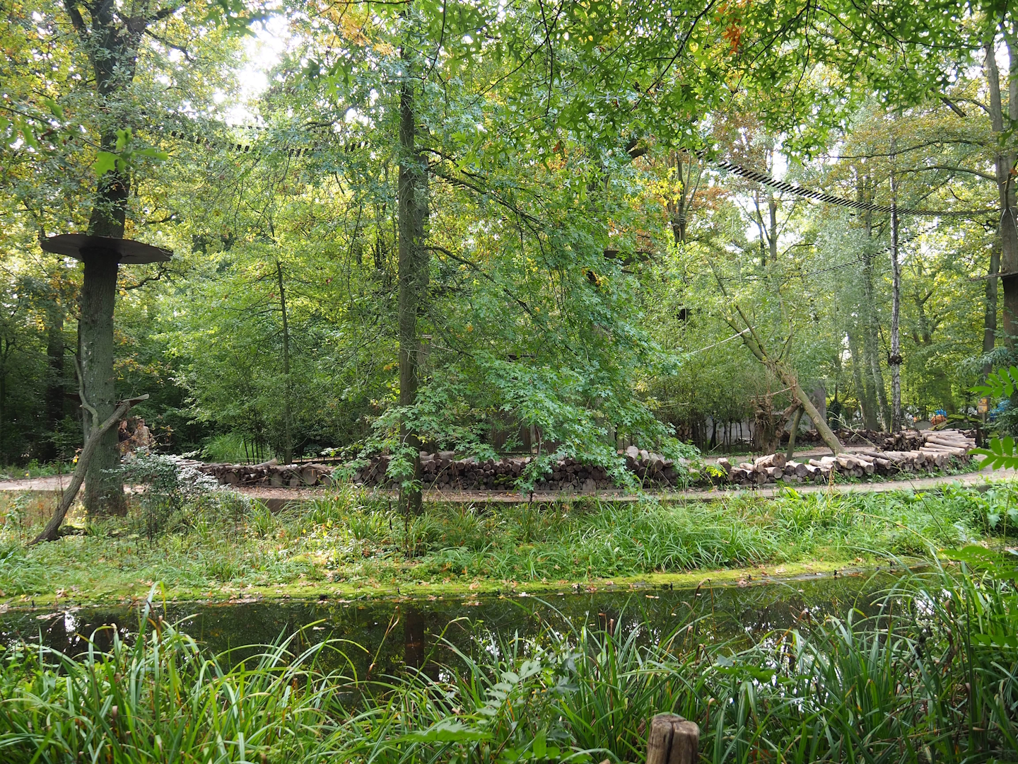 Golden-headed lion tamarin and White-faced saki island (walk-through), 2023-10-04