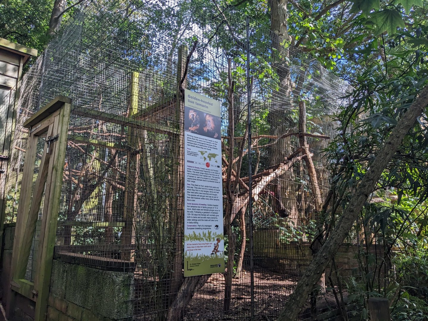 Golden-headed Lion Tamarin enclosure