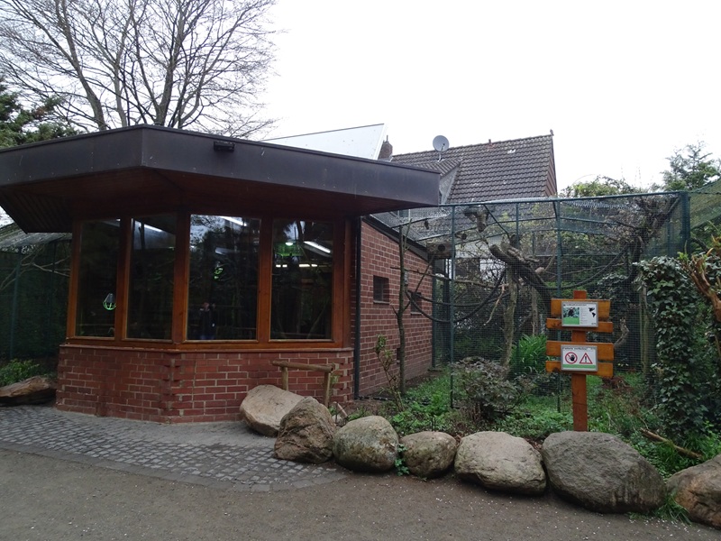 Golden-headed lion tamarin enclosure
