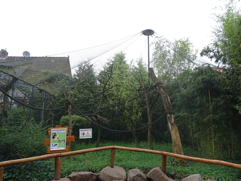 Golden-headed lion tamarin enclosure