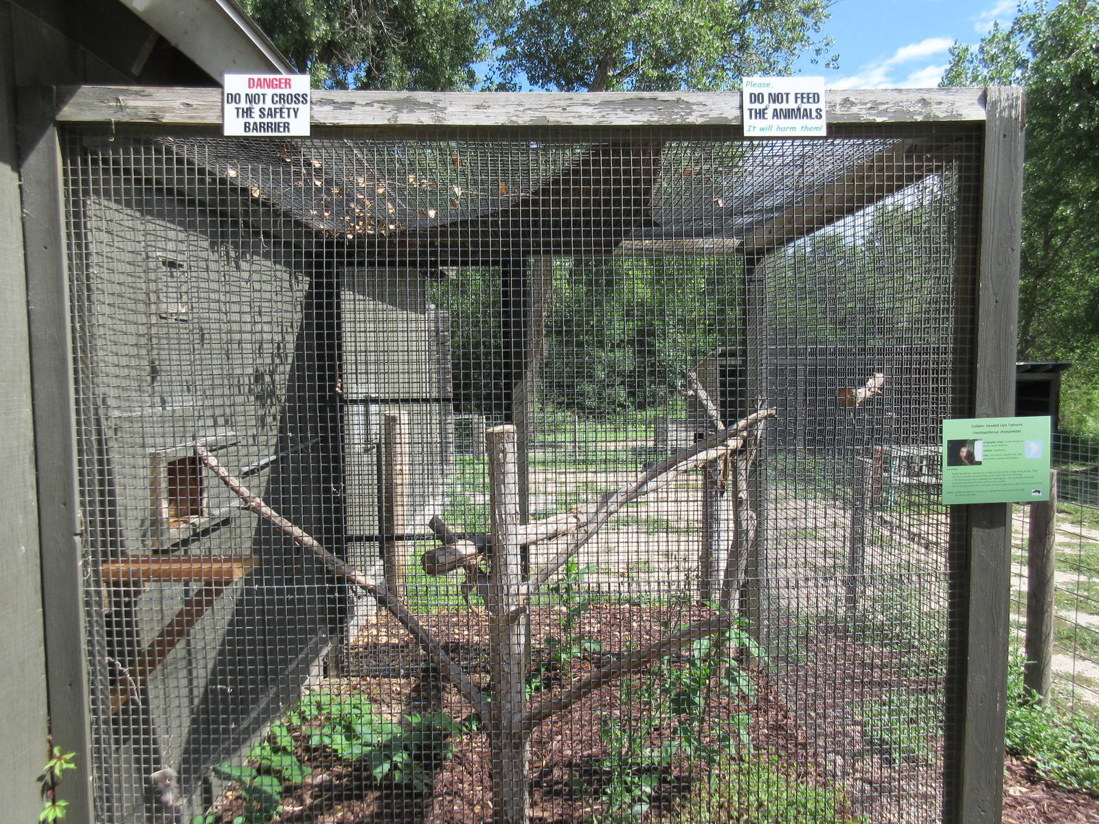 Golden-Headed Lion Tamarin Exhibit