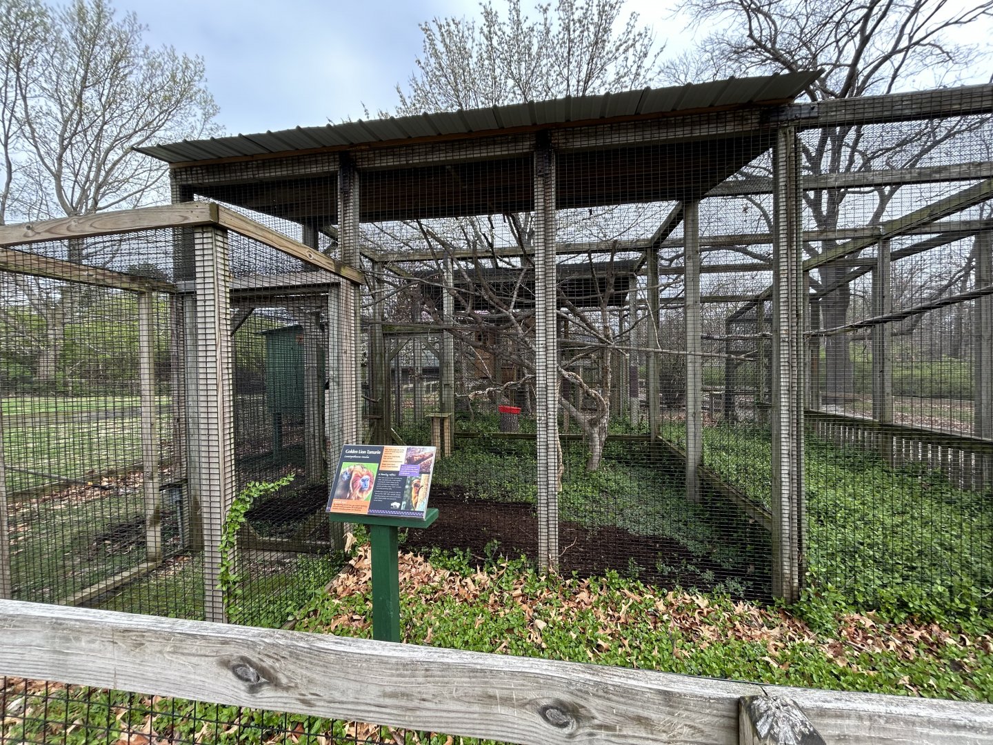 Golden-headed Lion Tamarin Exhibit