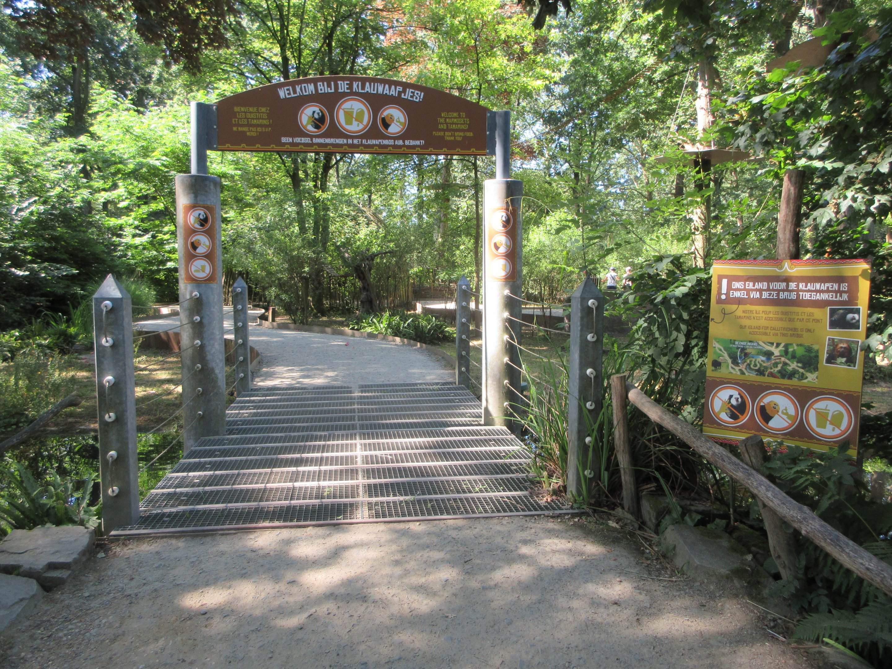 Golden-headed Lion Tamarin/Geoffrey's Marmoset Walk-through Exhibit