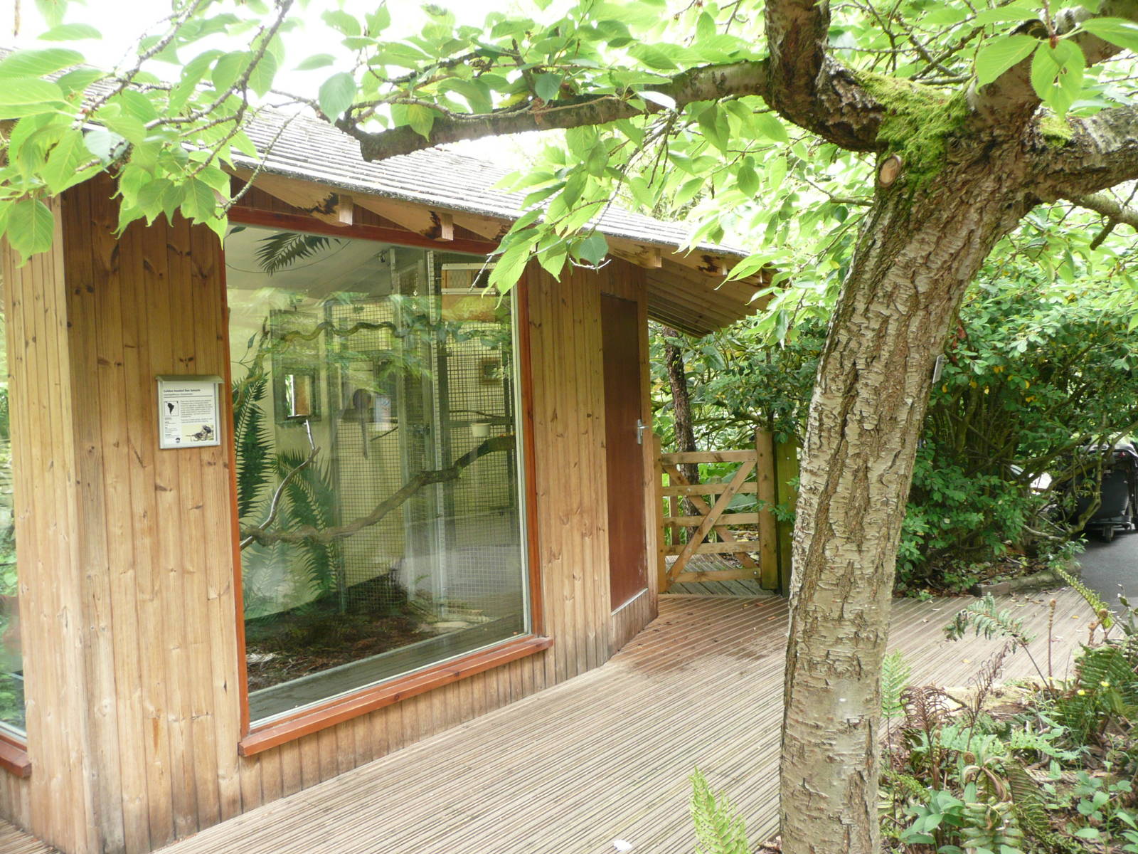 Golden-headed Lion Tamarin Housing