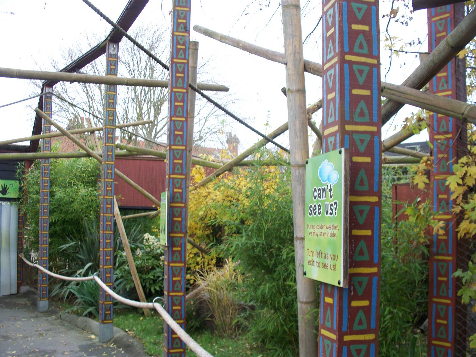 golden headed lion tamarin walkthrough