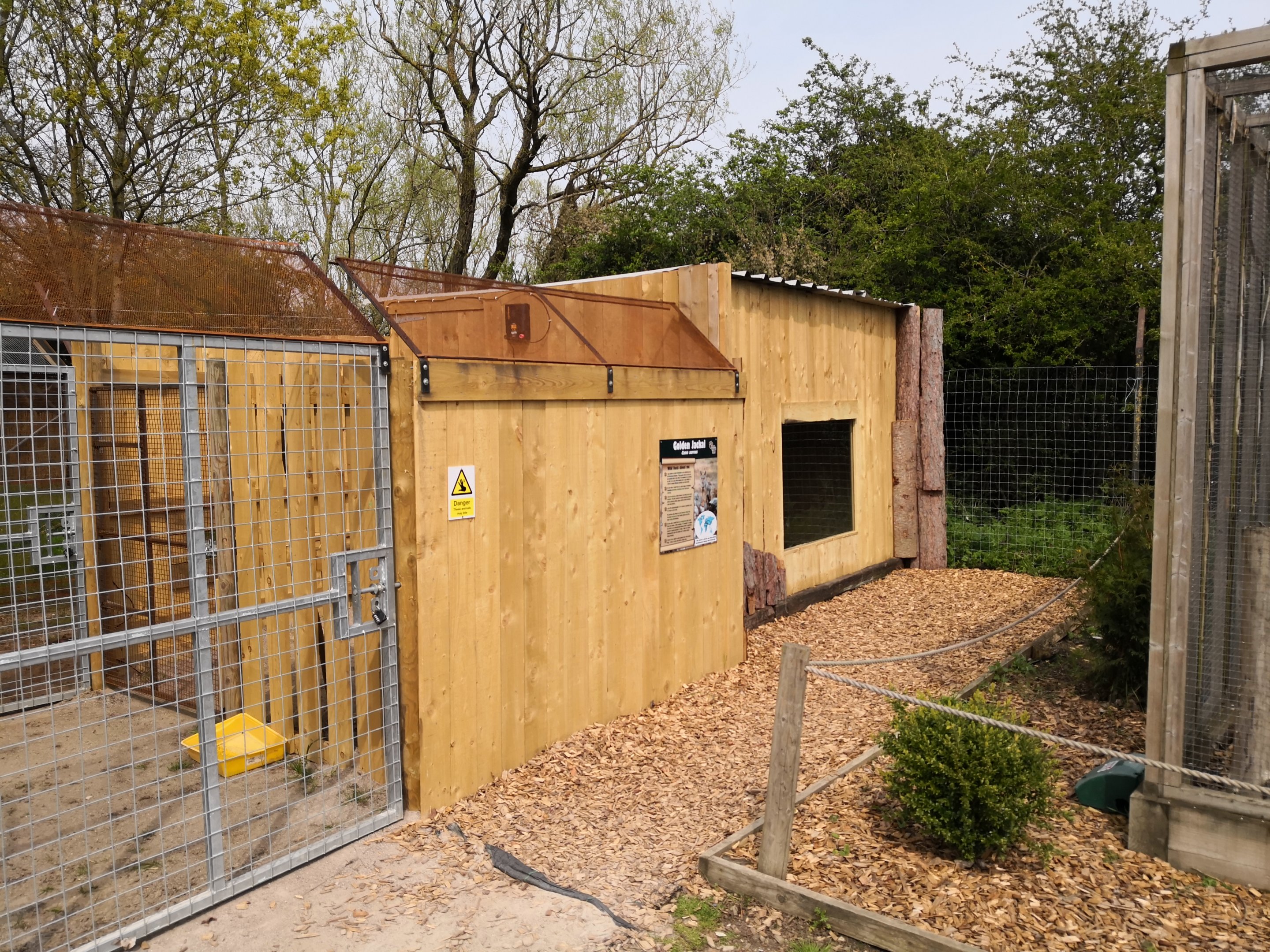 Golden jackals house