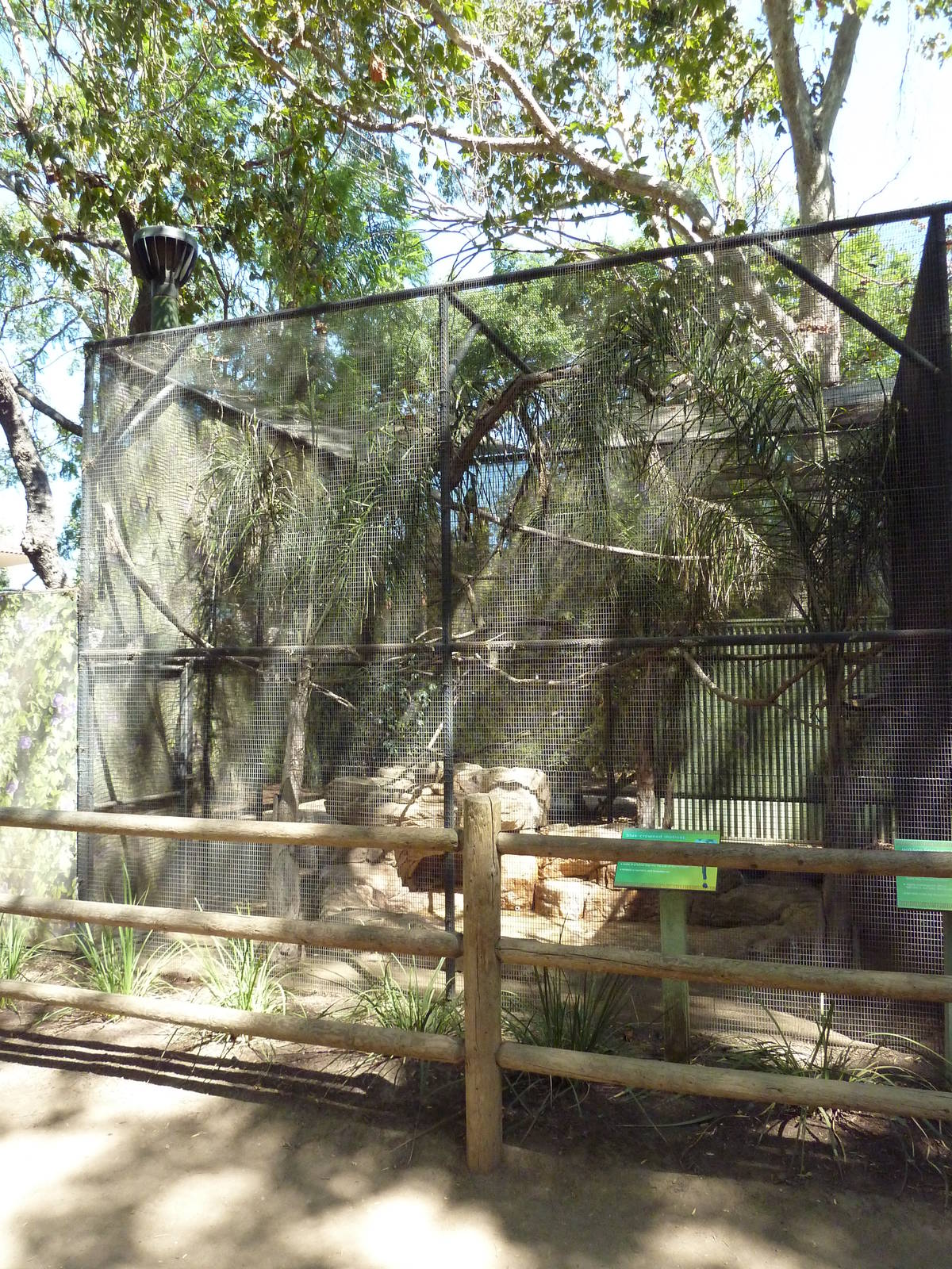 Golden Lion Tamarin/Blue Crowned Motmot Exhibit