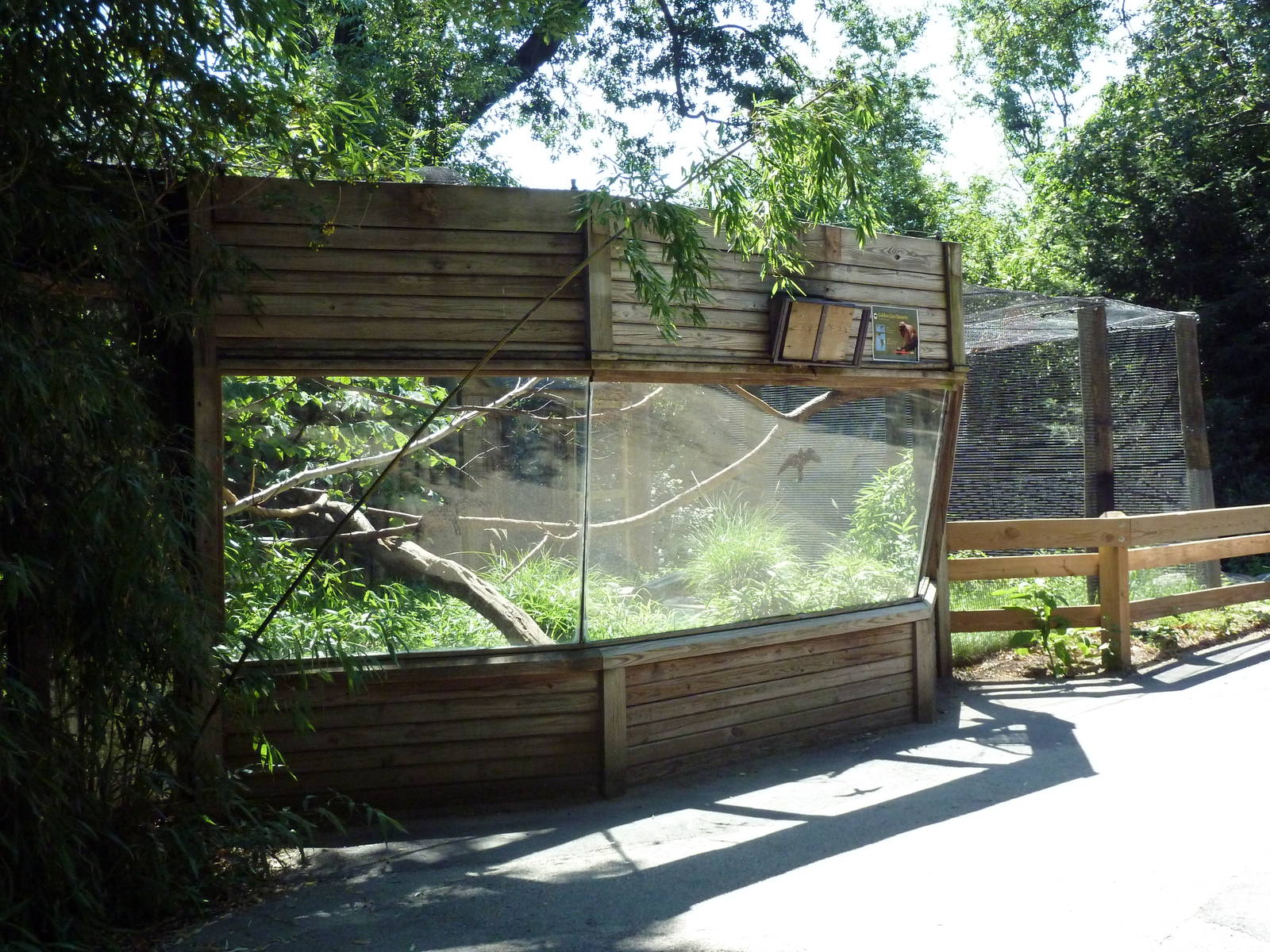 Golden Lion Tamarin + Cotton-Top Tamarin Exhibits