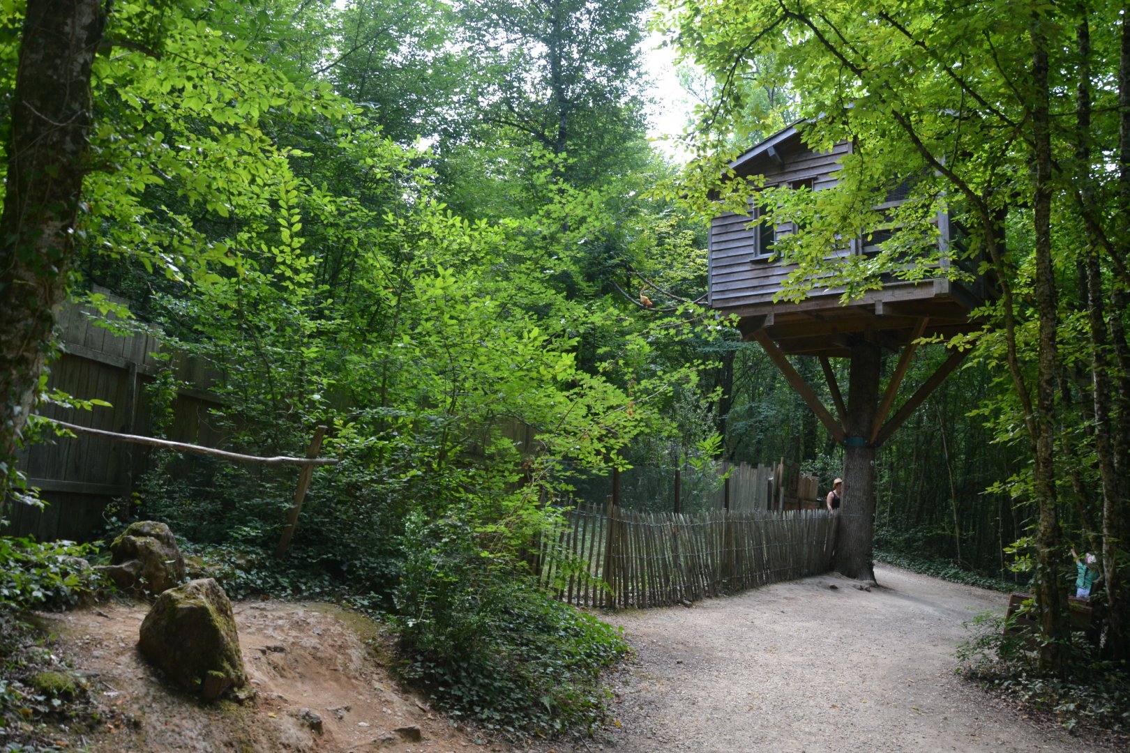 Golden lion tamarin & emperor tamarin exhibition