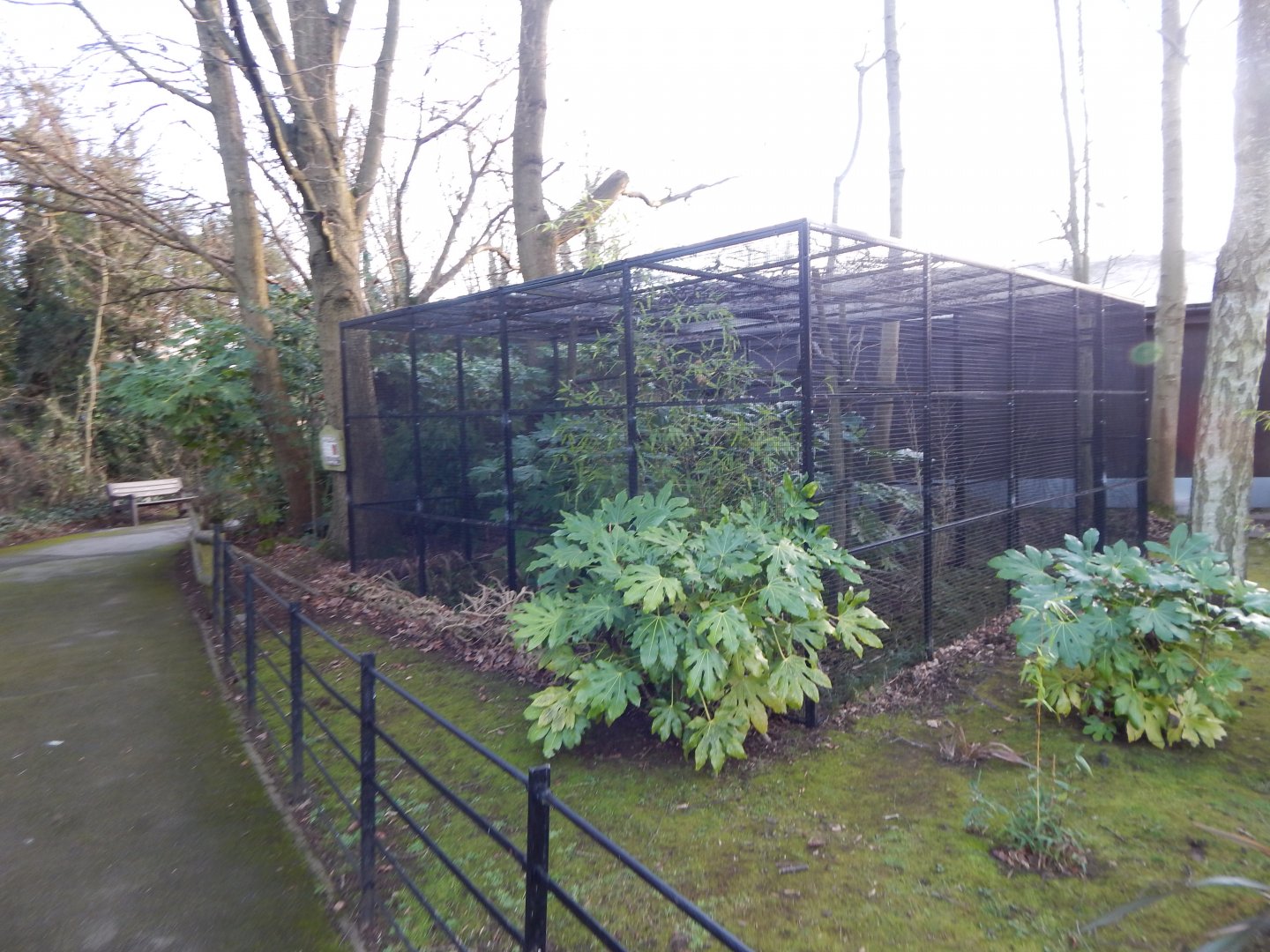 Golden lion tamarin enclosure 260124