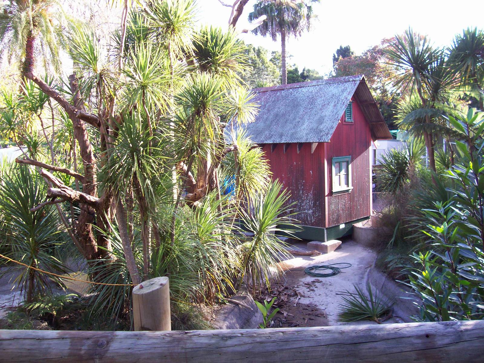 Golden Lion Tamarin Enclosure (Under Construction)