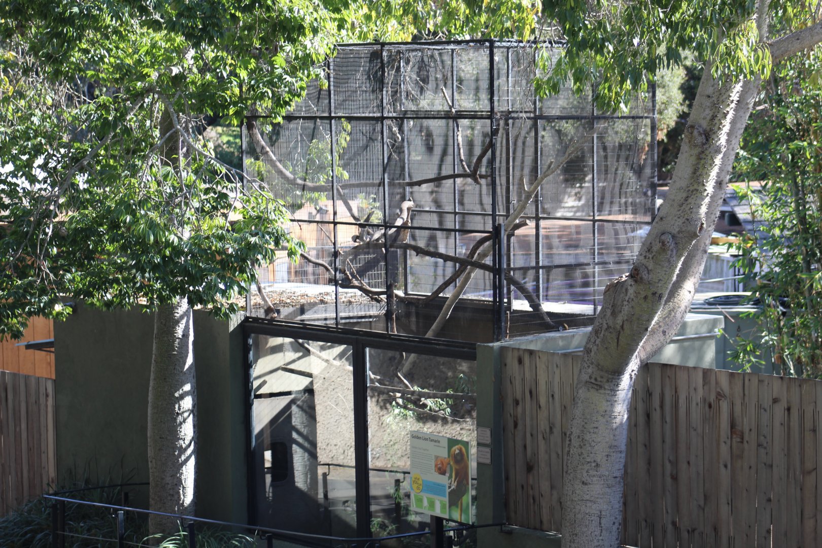 Golden Lion Tamarin Enclosure