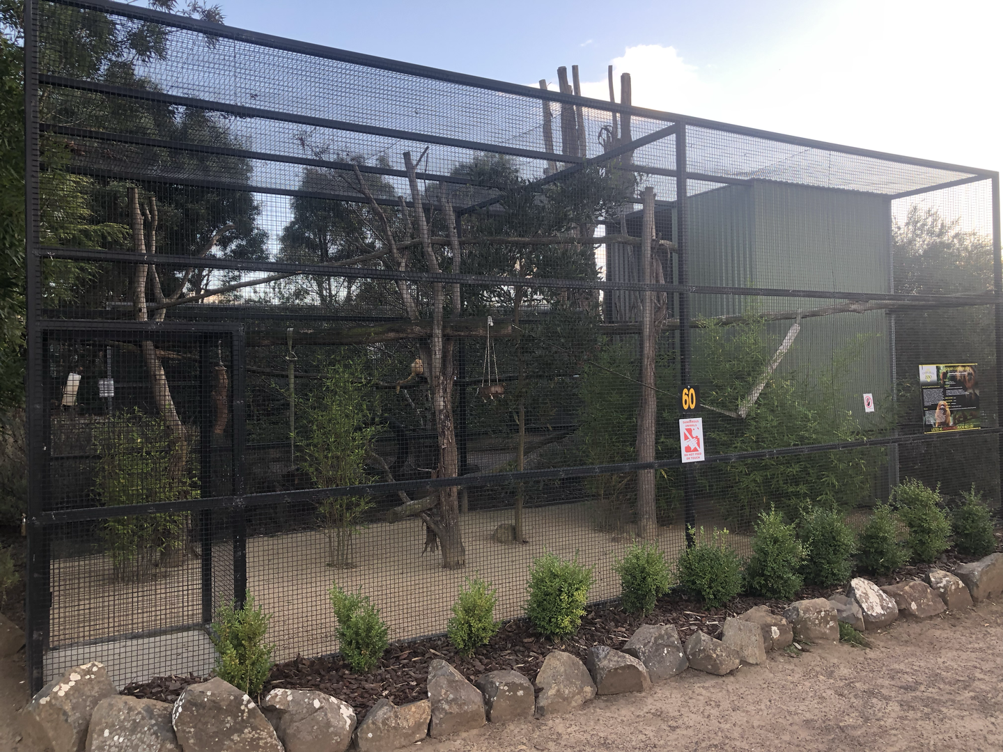 Golden Lion Tamarin enclosure