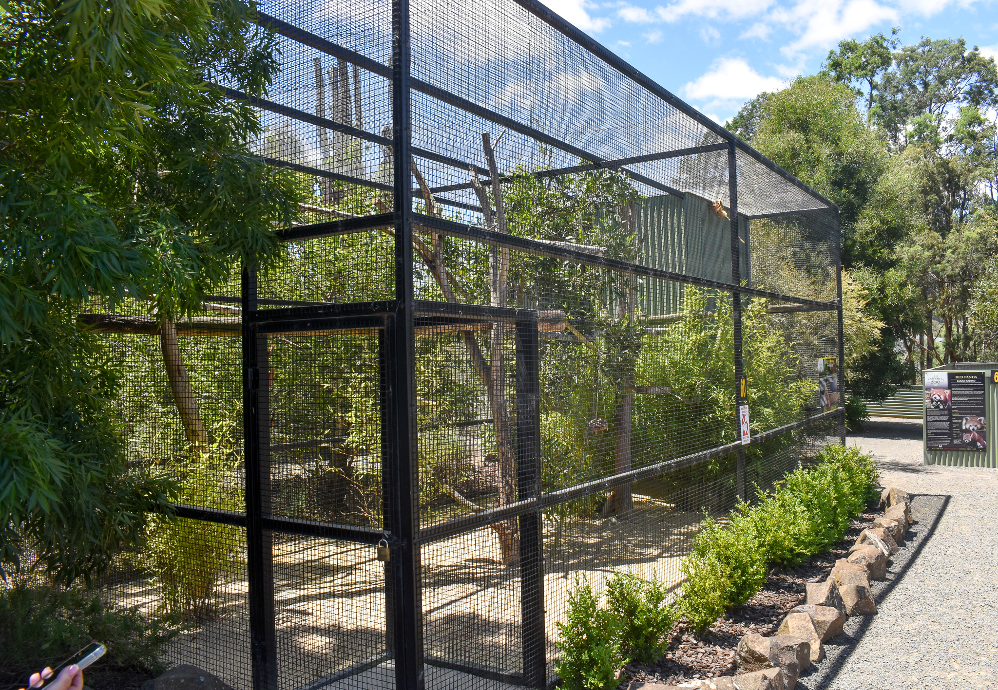 Golden Lion Tamarin enclosure