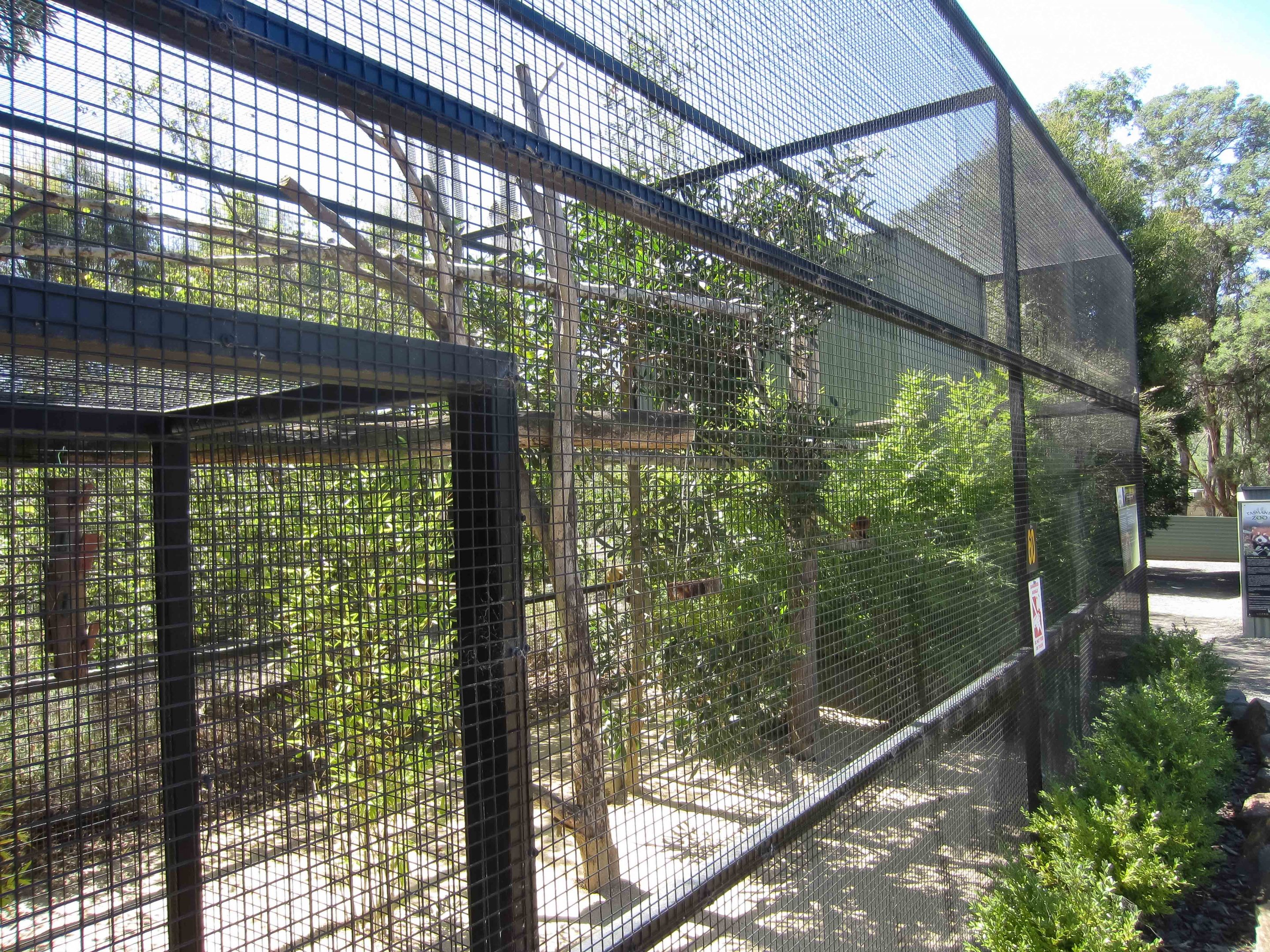 Golden Lion Tamarin enclosure