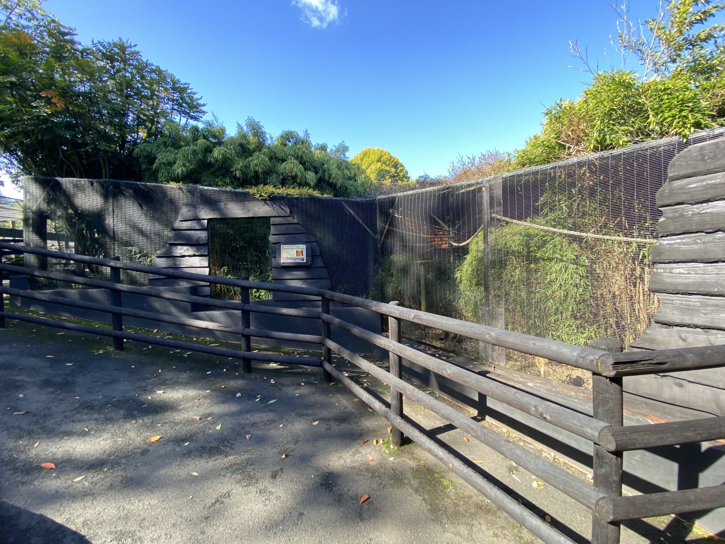 Golden lion tamarin enclosure
