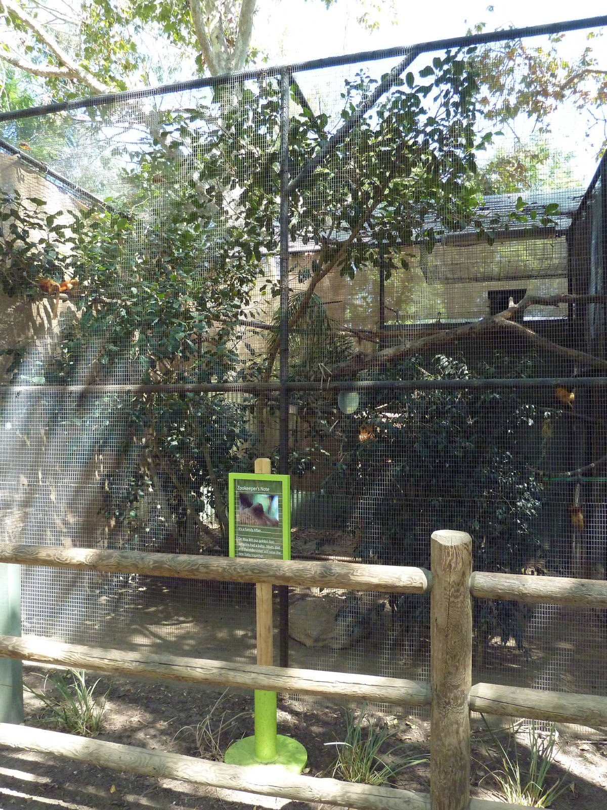 Golden Lion Tamarin Exhibit