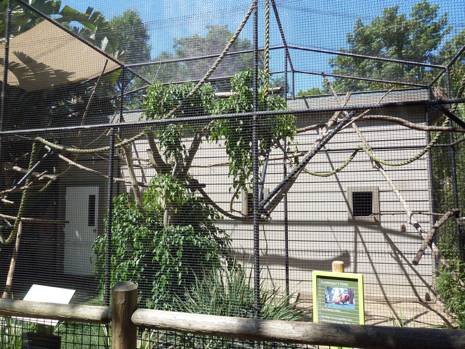 Golden Lion Tamarin Exhibit