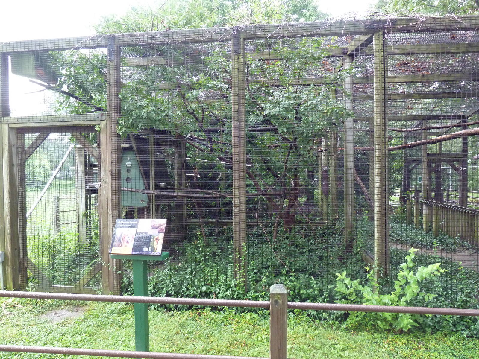 Golden Lion Tamarin Exhibit