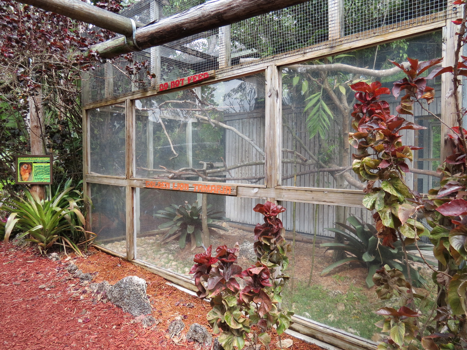Golden Lion Tamarin Exhibit