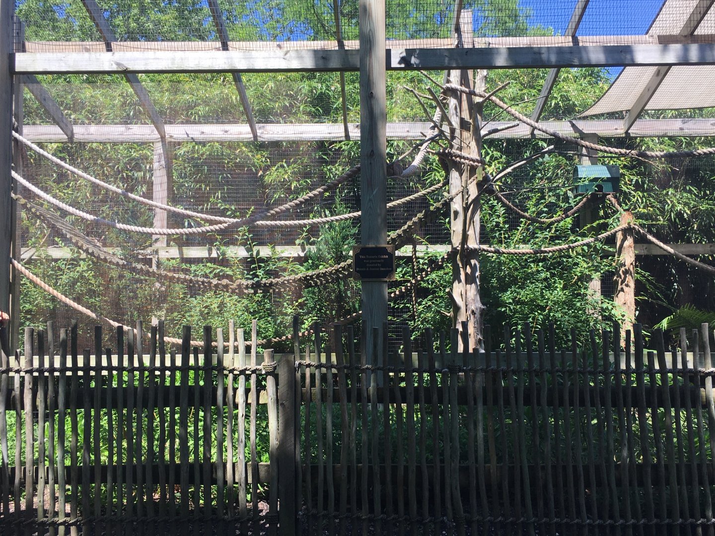 Golden Lion Tamarin Exhibit