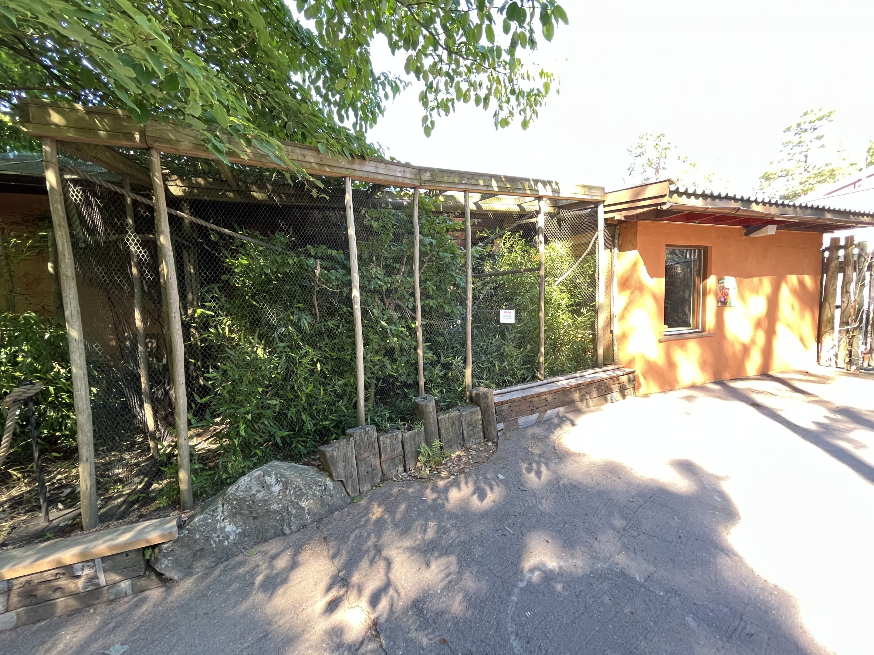 Golden Lion Tamarin Exhibit