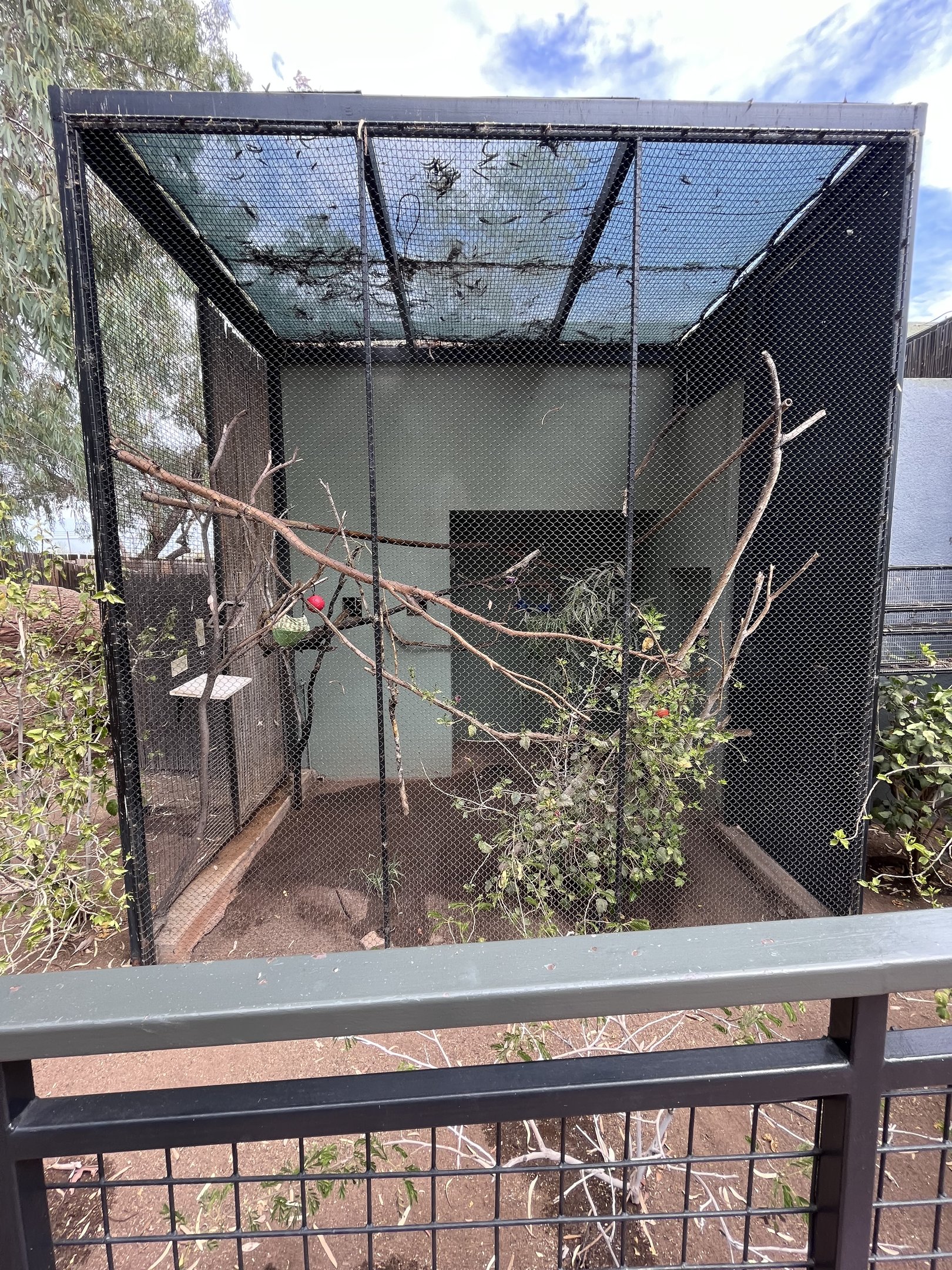 Golden Lion Tamarin Exhibit