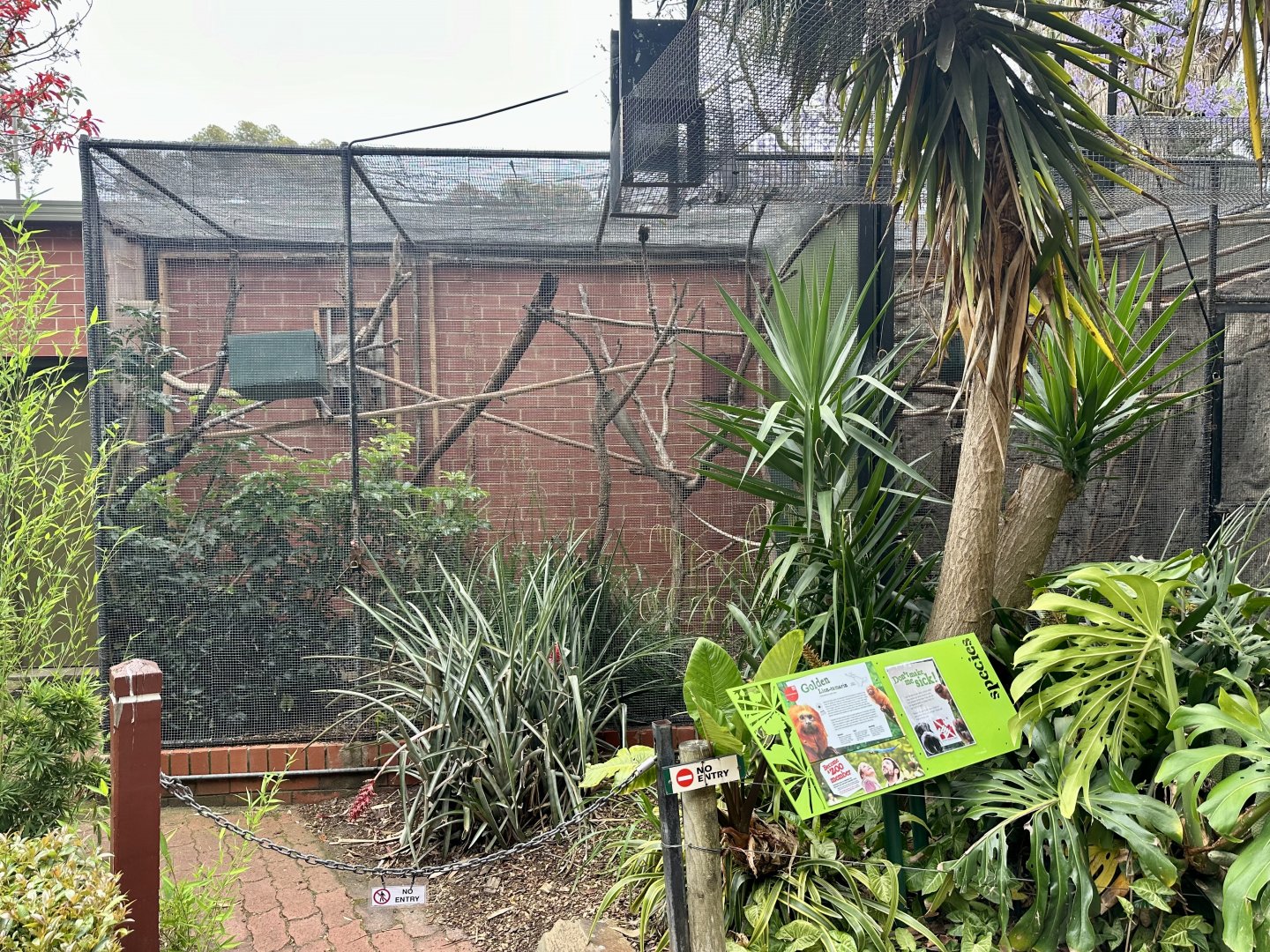 Golden Lion Tamarin Exhibit