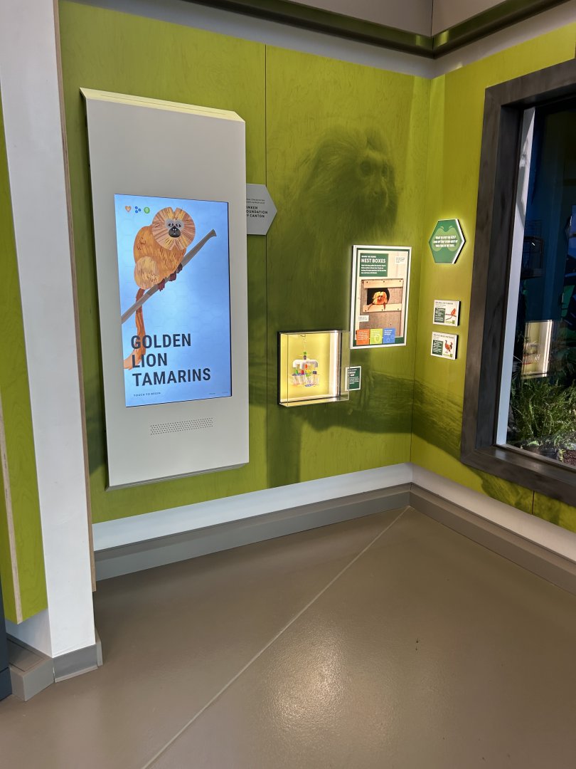 Golden Lion Tamarin Kiosk