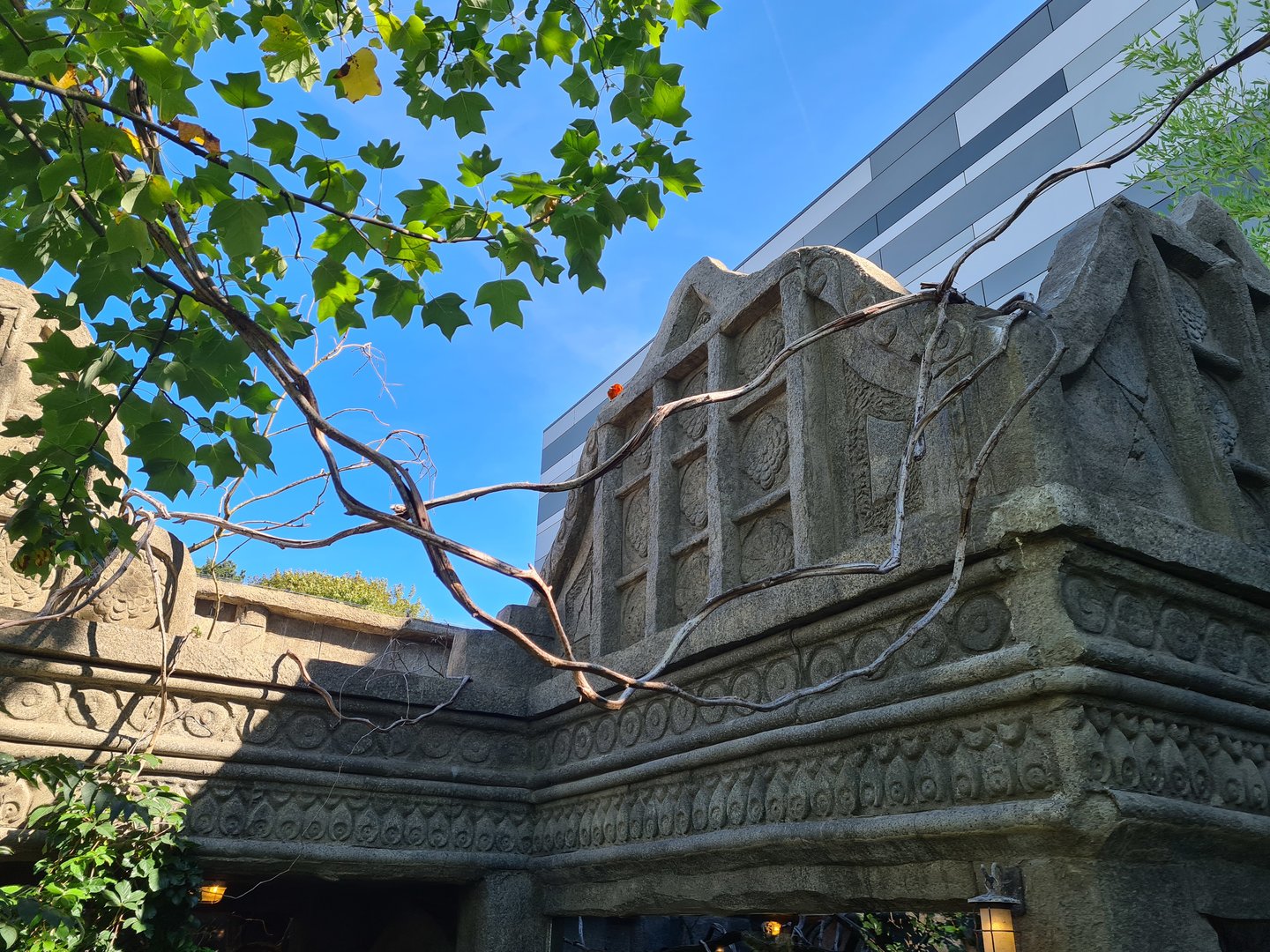 Golden lion tamarin on Monkey ruins