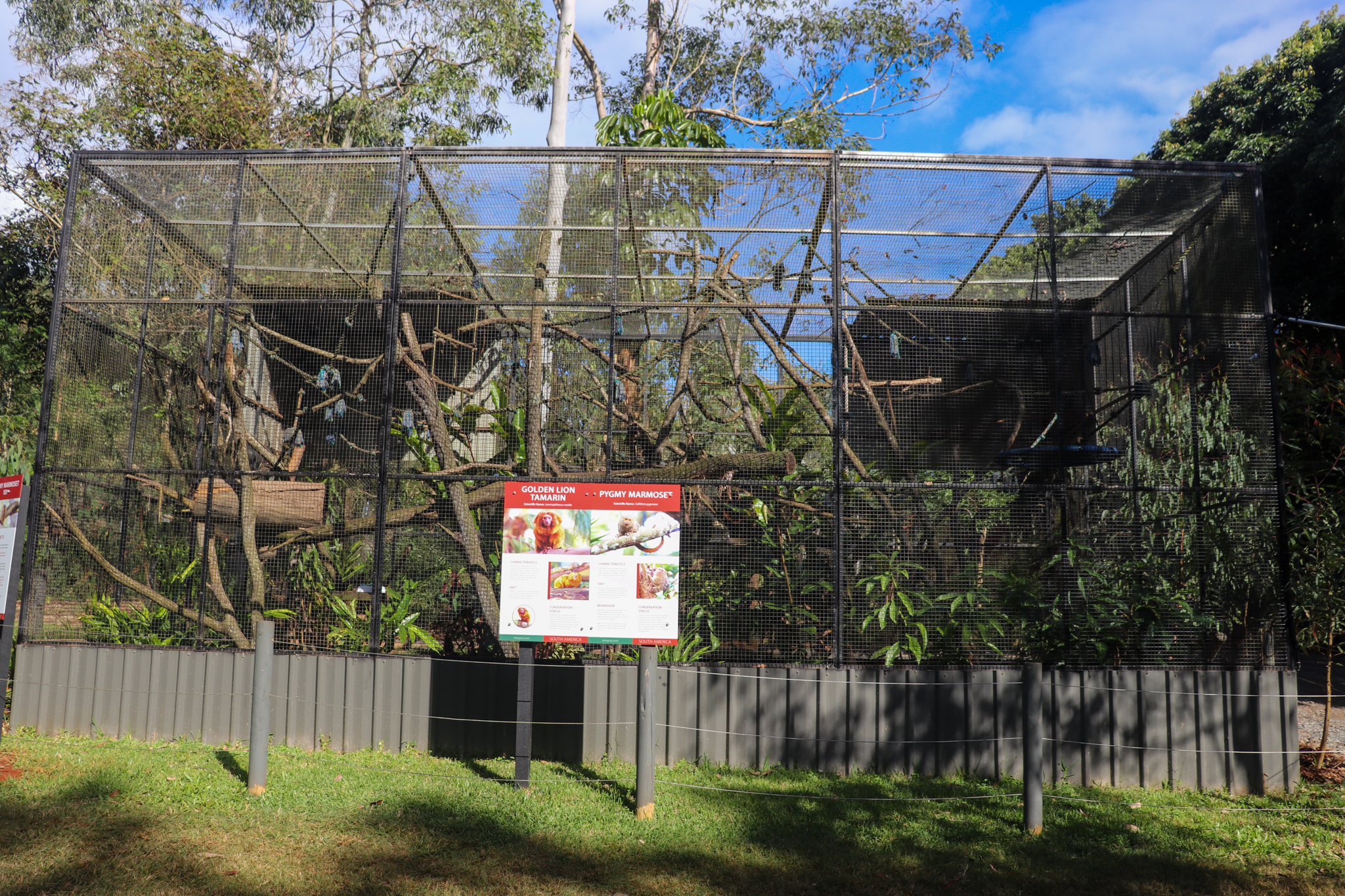 Golden Lion Tamarin/Pygmy Marmoset Enclosure