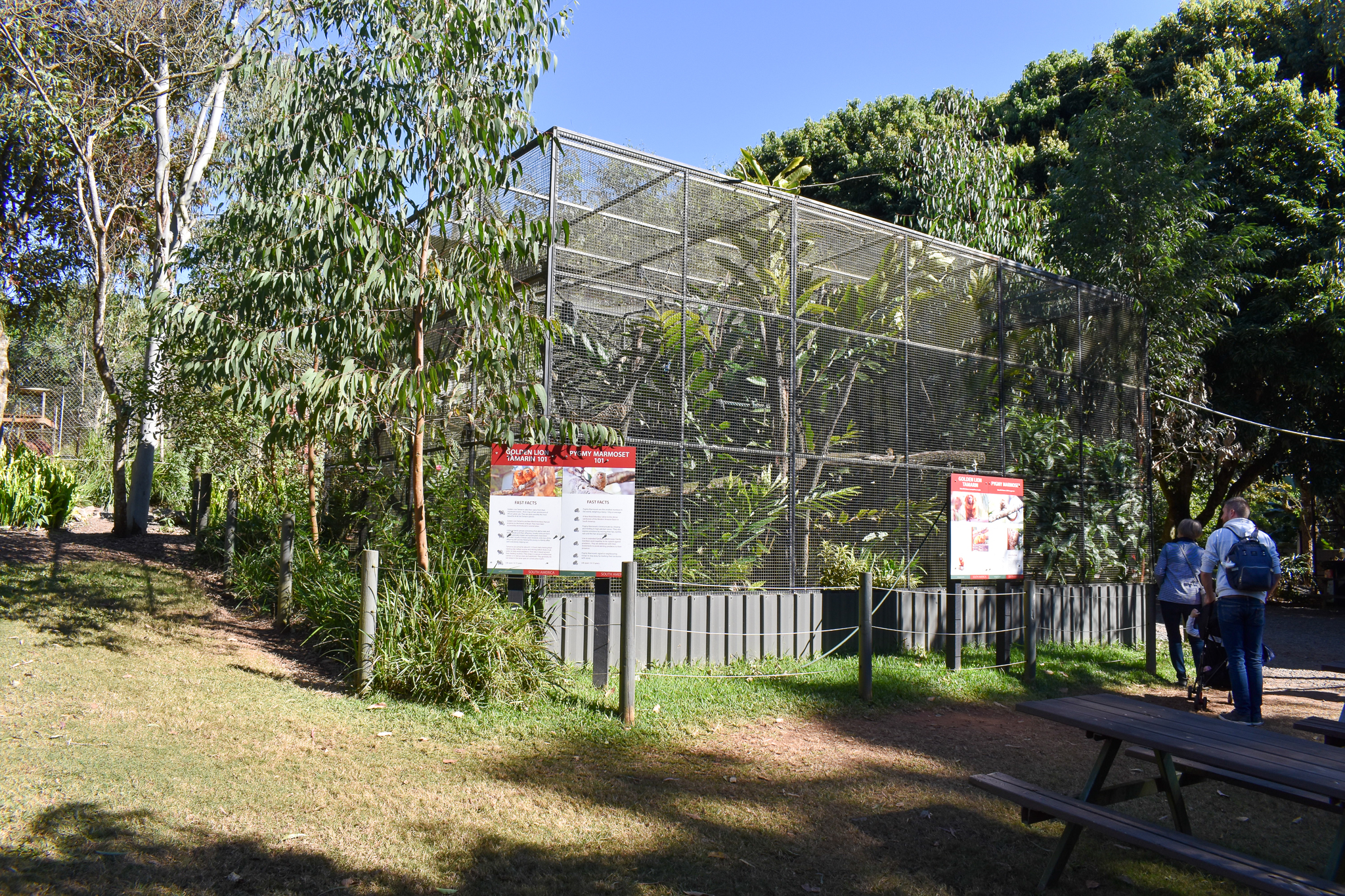 Golden Lion Tamarin/Pygmy Marmoset Enclosure