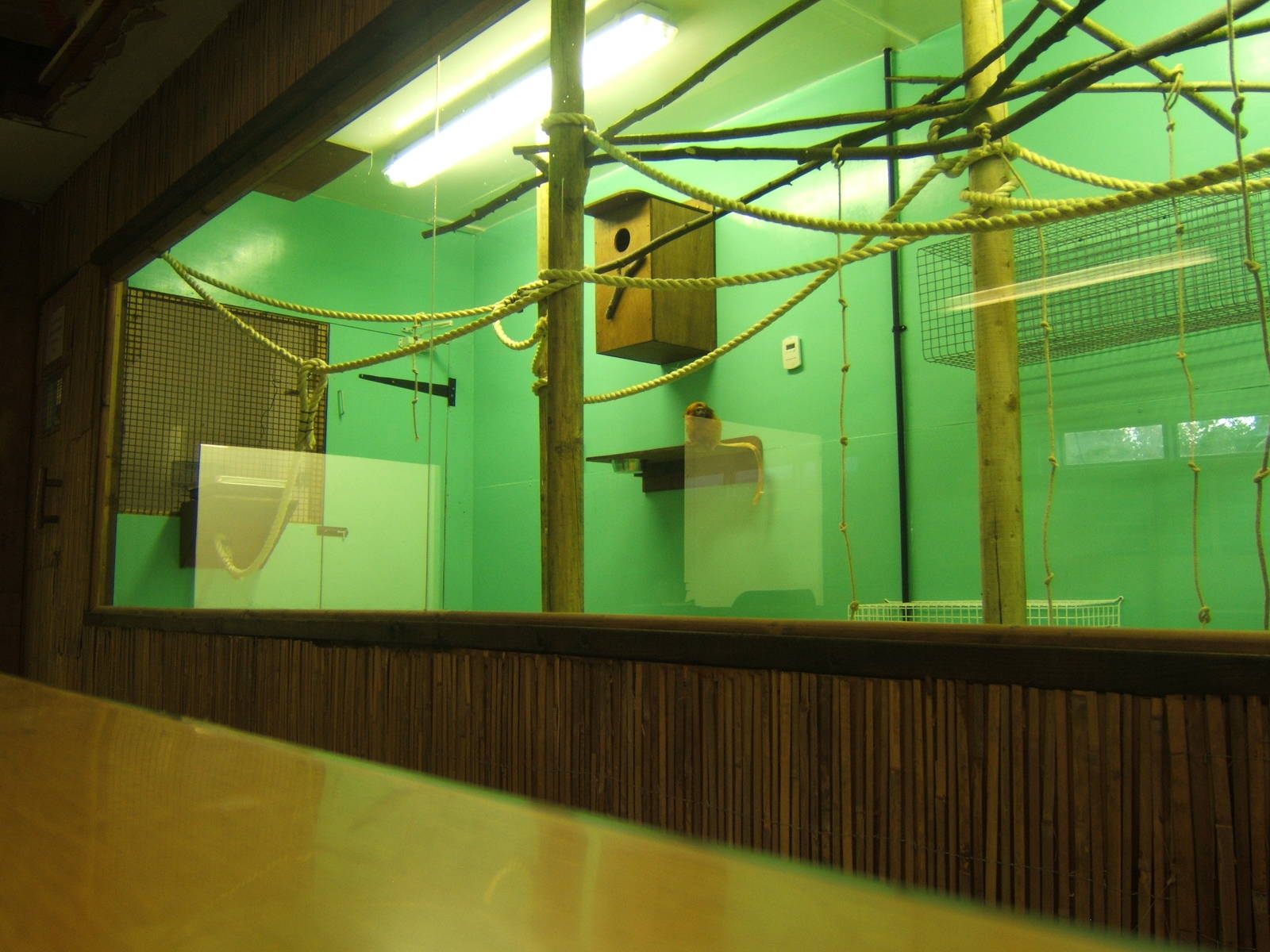 Golden Lion Tamarin Quaratine Housing