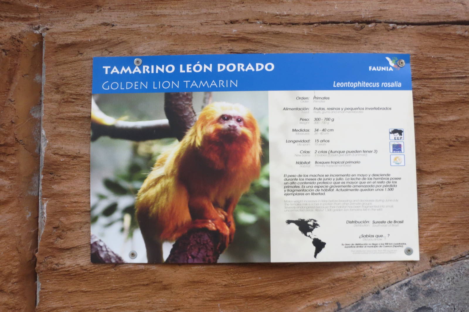 Golden Lion Tamarin sign 140216