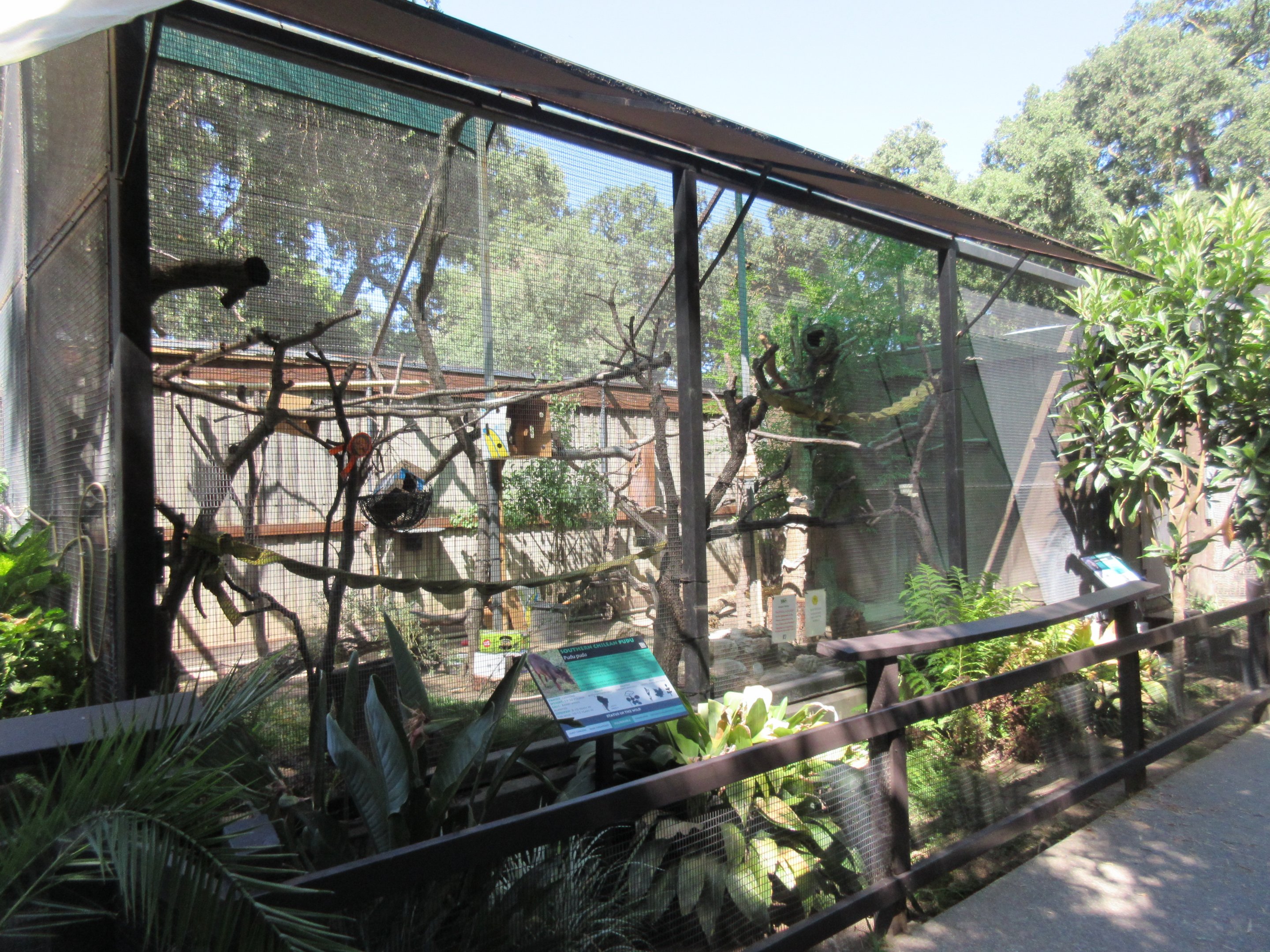 Golden Lion Tamarin/Southern Chilean Pudu Exhibit