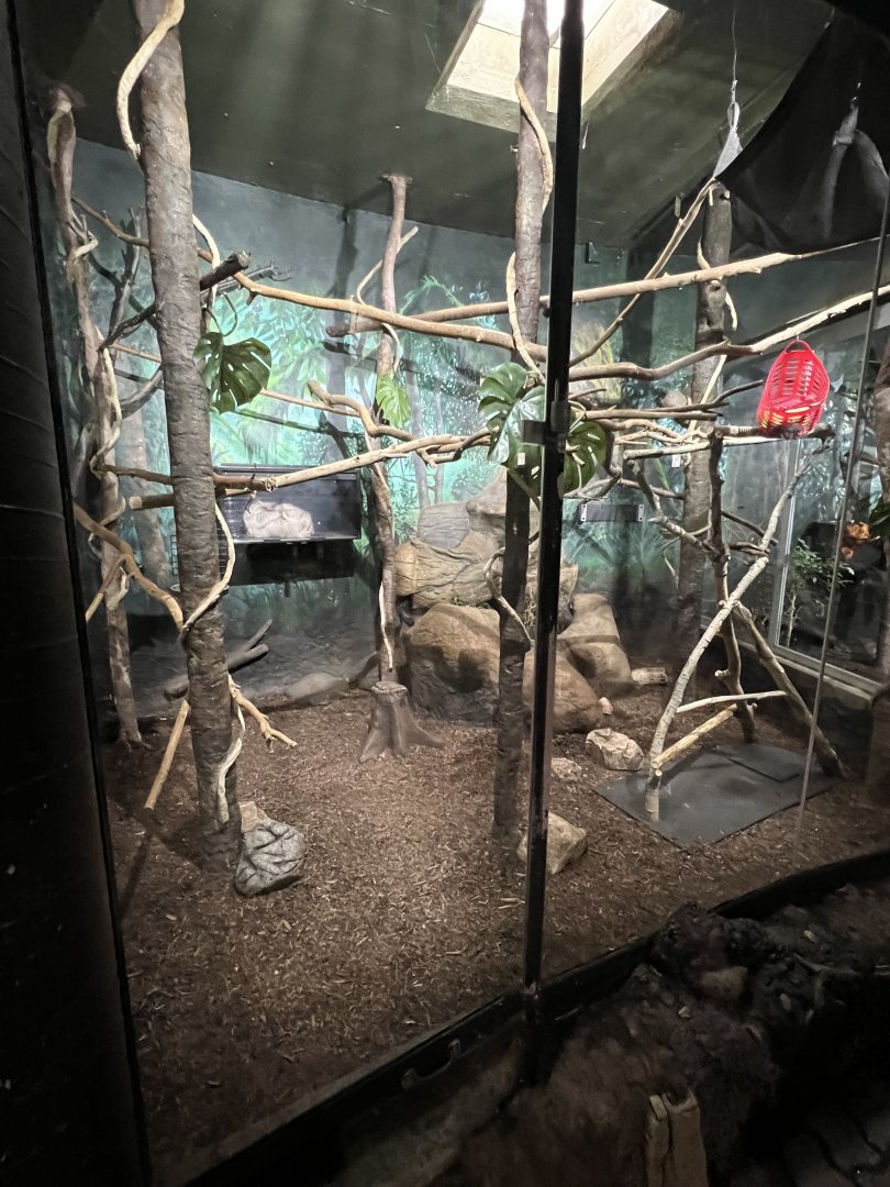 Golden Lion Tamarin/Two-Toed Sloth Exhibit 1
