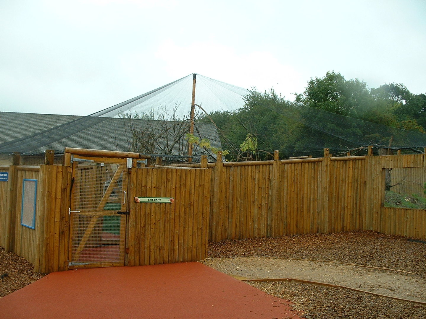 Golden Lion Tamarin Walkthrough Enclosure