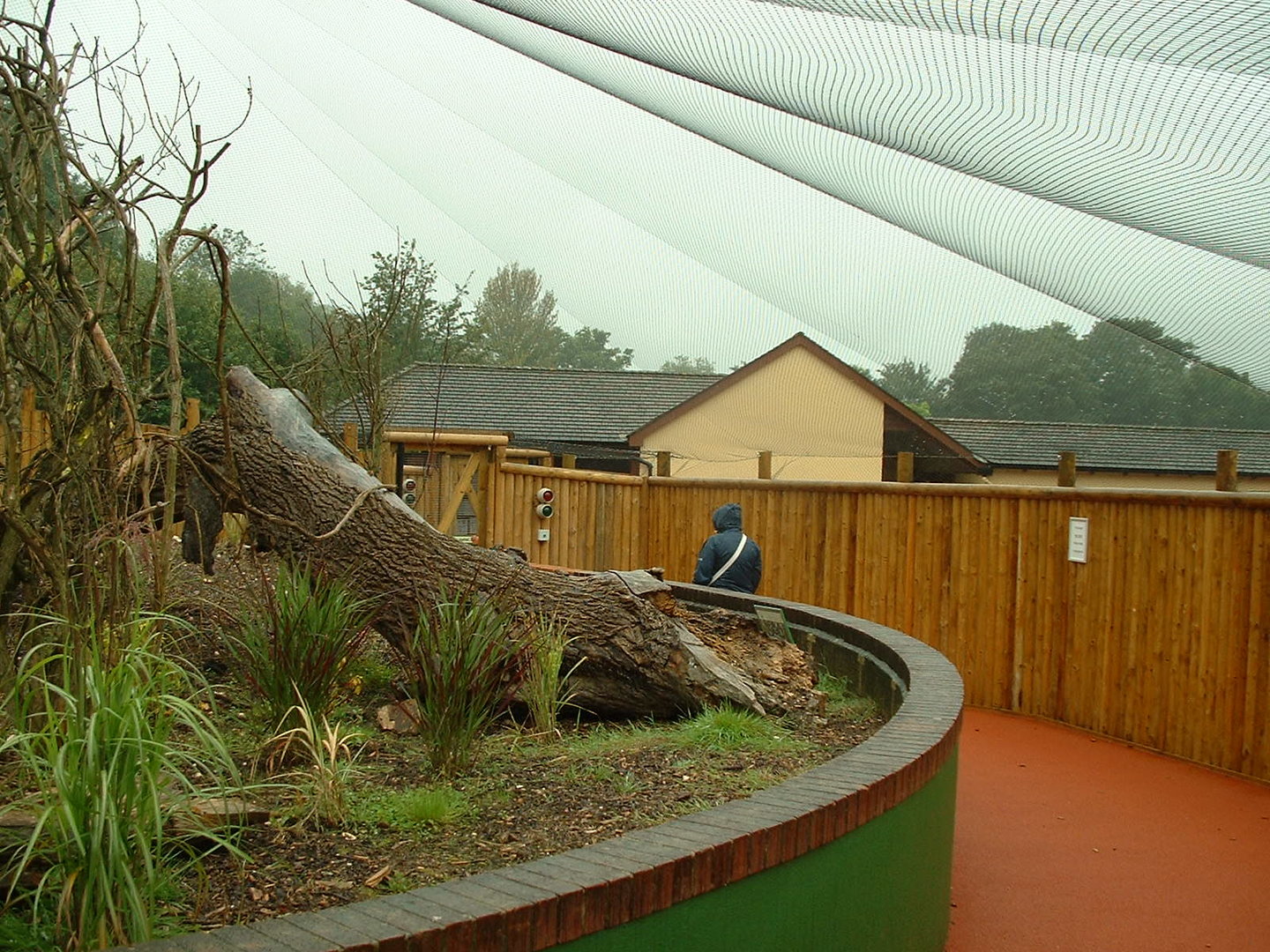 Golden Lion Tamarin Walkthrough Enclosure