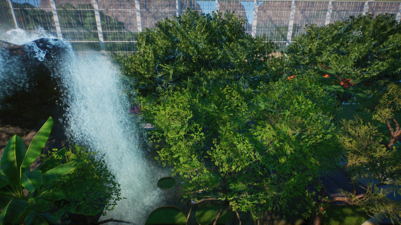 Golden Lion Tamarin Walkthrough