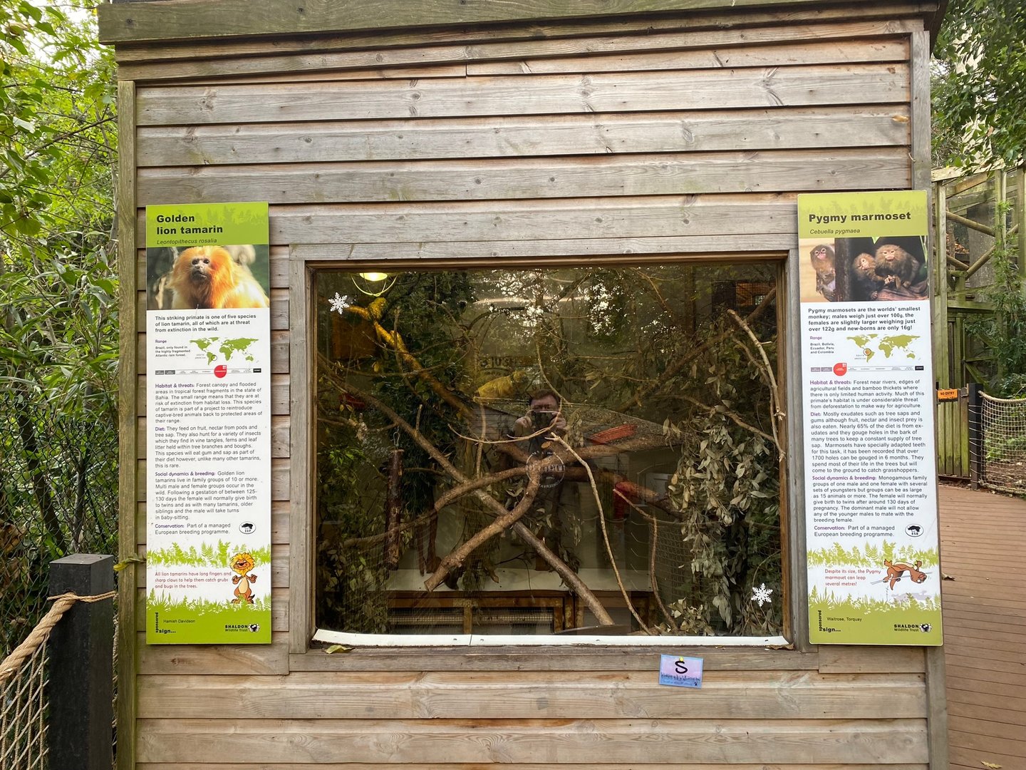 Golden lion tamarins and Pygmy marmoset enclosure 111222