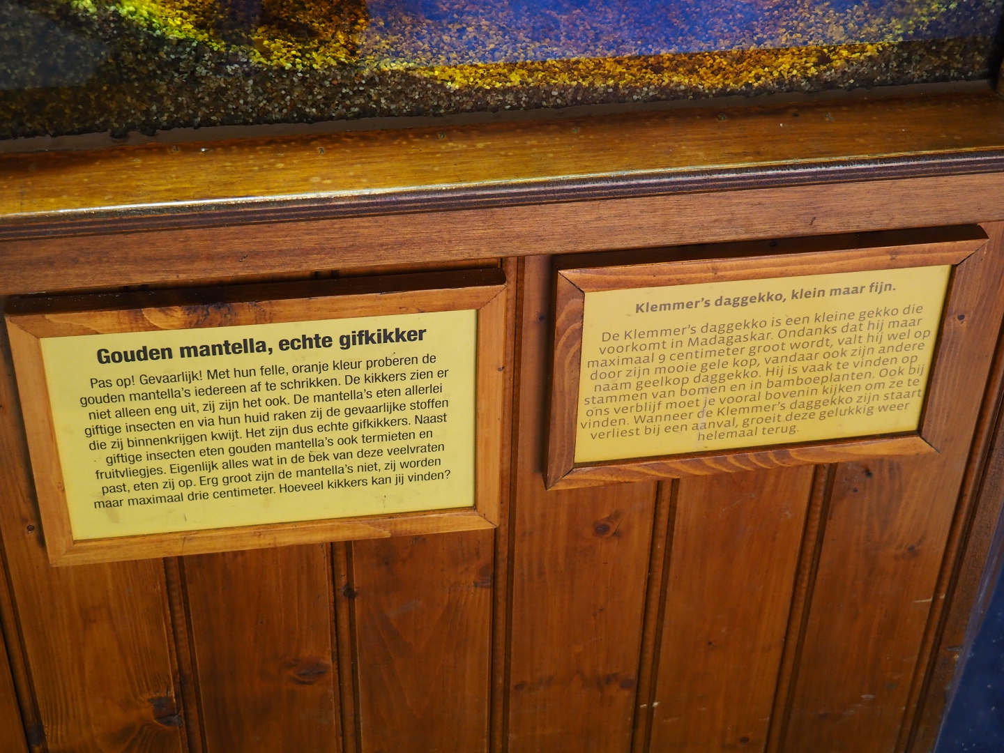 Golden mantella and yellow-headed day gecko signs