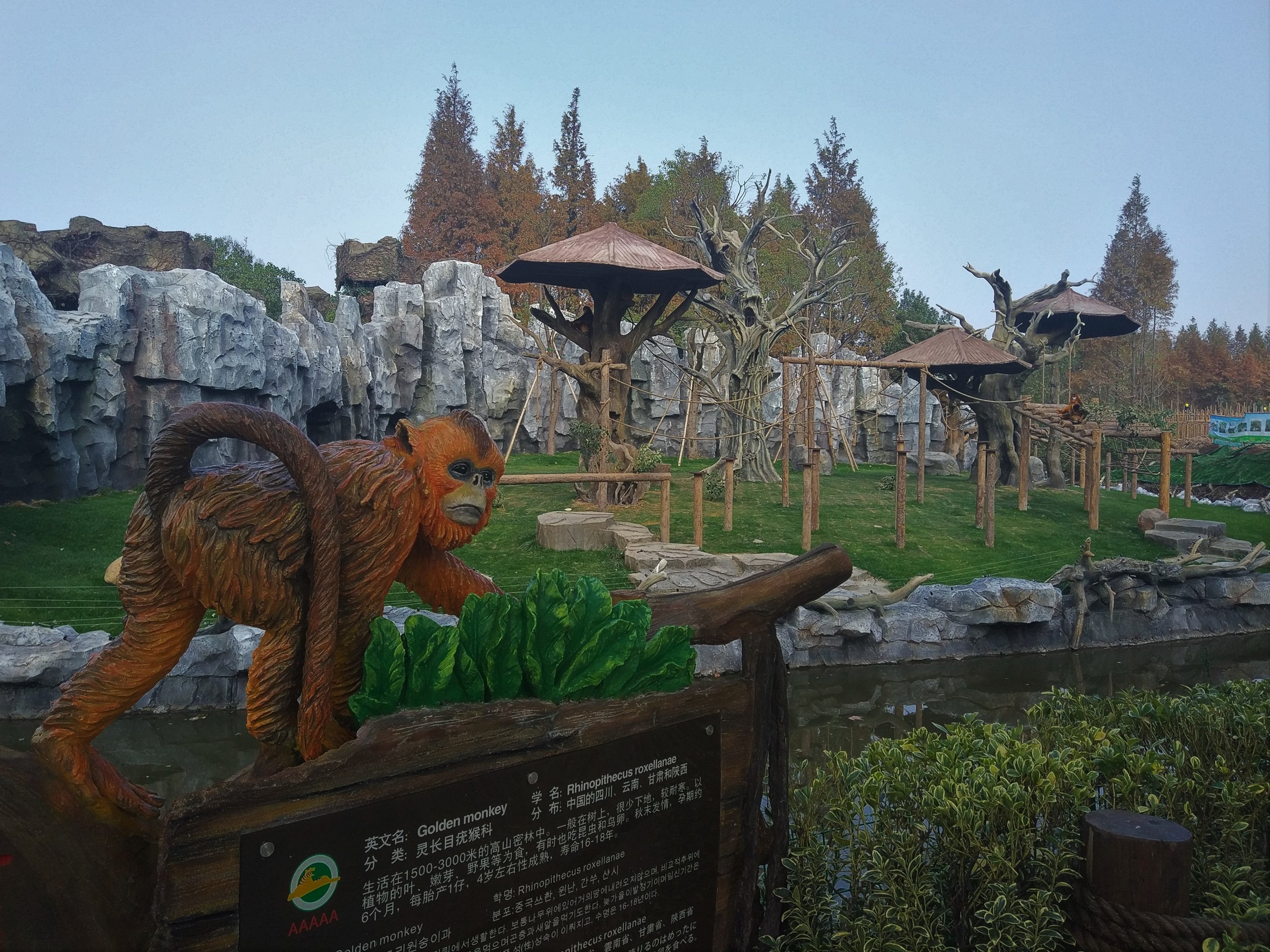 Golden Monkey Exhibit