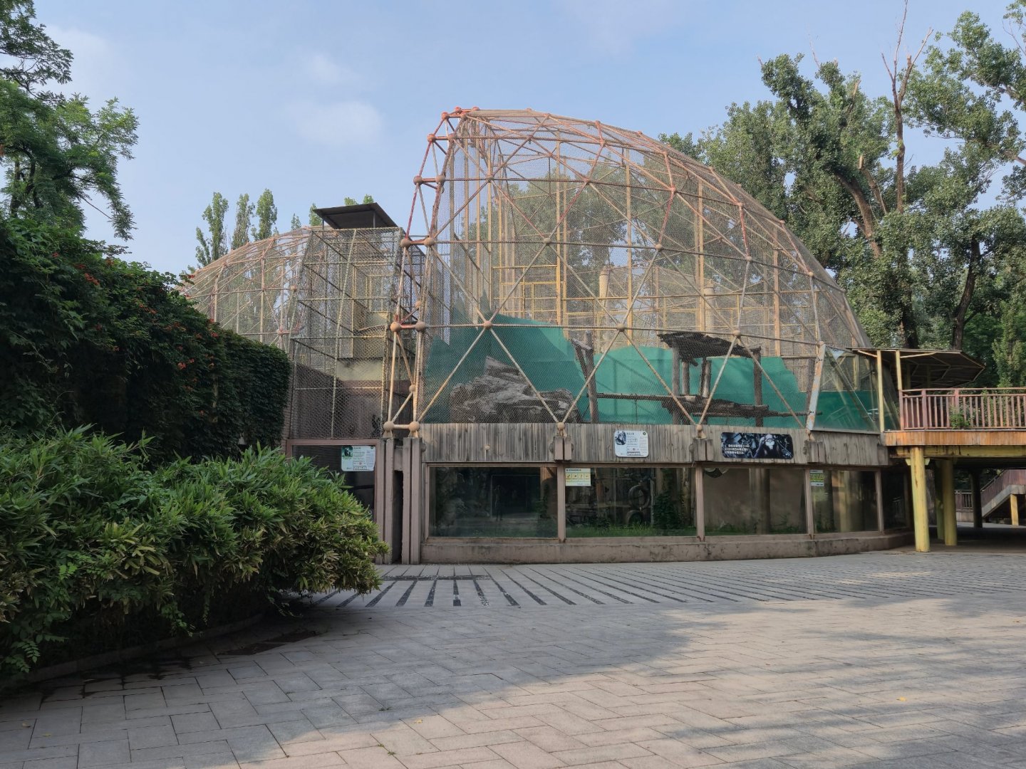 Golden Monkey House, Gray Snub-nosed Monkey exhibit