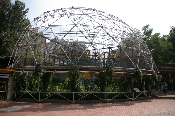 Golden Monkey House