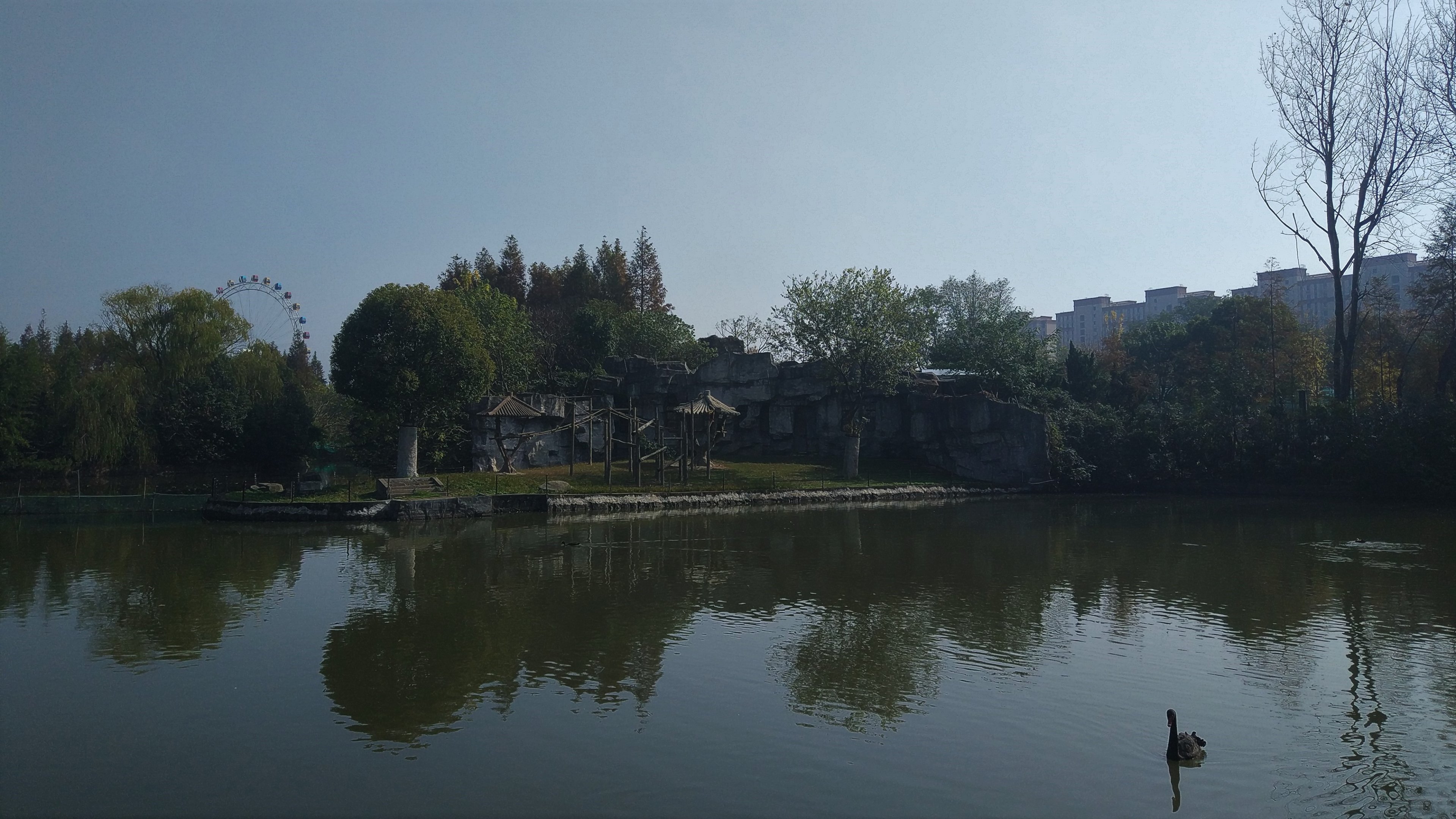 Golden Monkeys Across The Water